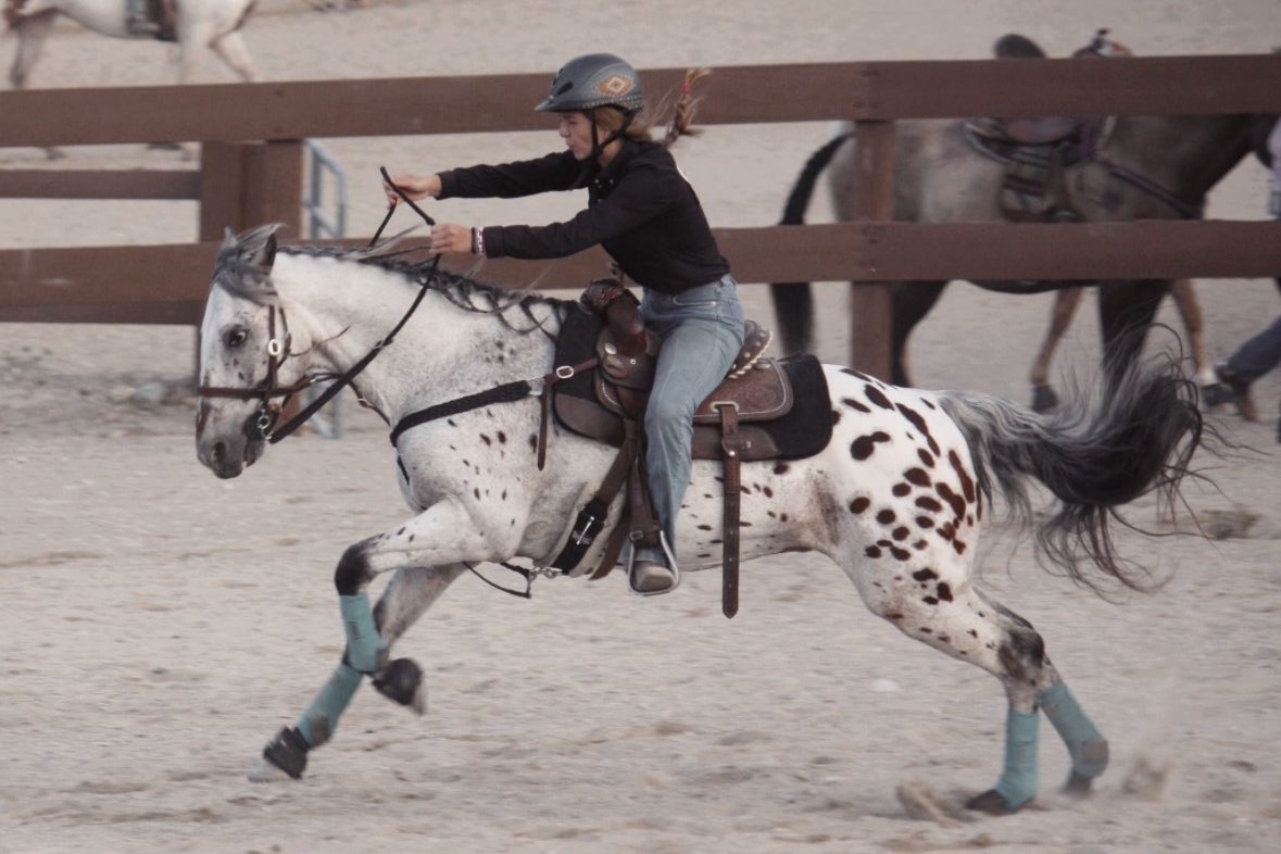 shows 1 Girl riding a white horse with brown speckles